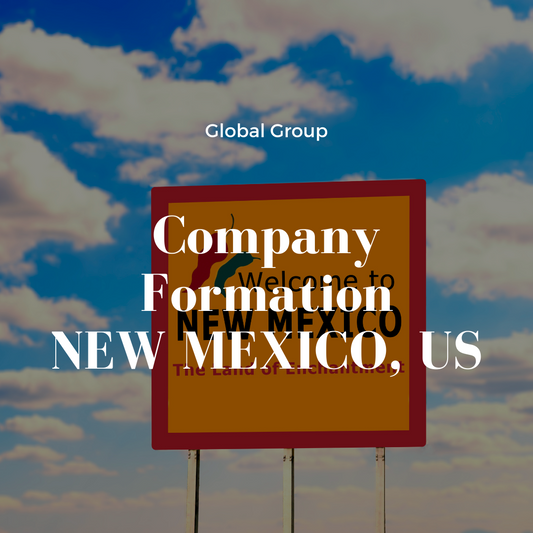 Company formation New Mexico, USA